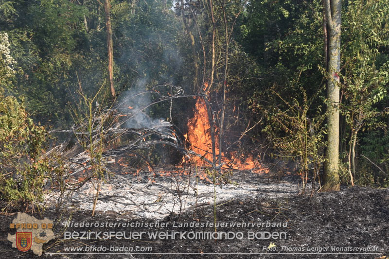 20260630_Flur- und Waldbrand zwischen Ebreichsdorf und Oberwaltersdorf durch f�nf Feuerwehren erfolgreich bek�mpft 20260630_Flur- und Waldbrand zwischen Ebreichsdorf und Oberwaltersdorf durch f�nf Feuerwehren erfolgreich bek�mpft