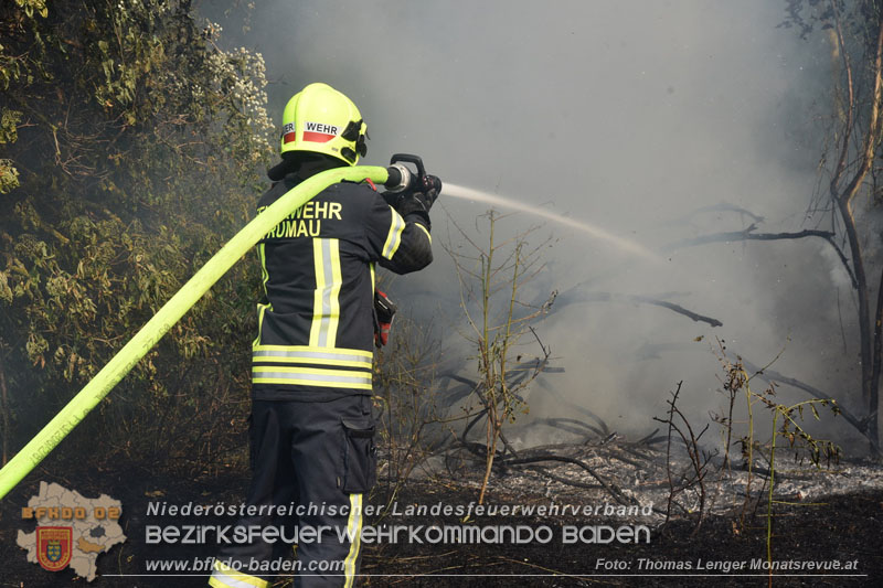 20260630_Flur- und Waldbrand zwischen Ebreichsdorf und Oberwaltersdorf durch f�nf Feuerwehren erfolgreich bek�mpft 20260630_Flur- und Waldbrand zwischen Ebreichsdorf und Oberwaltersdorf durch f�nf Feuerwehren erfolgreich bek�mpft