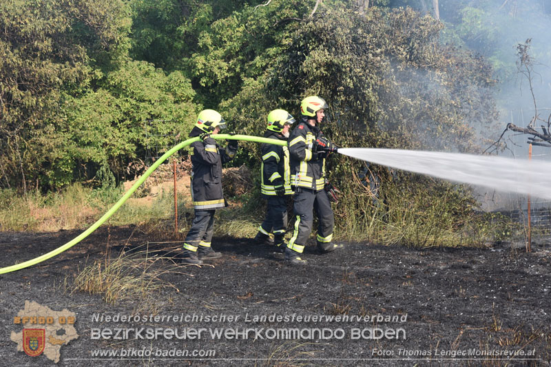 20260630_Flur- und Waldbrand zwischen Ebreichsdorf und Oberwaltersdorf durch f�nf Feuerwehren erfolgreich bek�mpft 20260630_Flur- und Waldbrand zwischen Ebreichsdorf und Oberwaltersdorf durch f�nf Feuerwehren erfolgreich bek�mpft