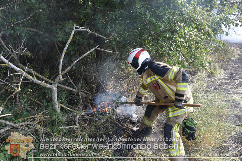 20260630_Flur- und Waldbrand zwischen Ebreichsdorf und Oberwaltersdorf durch f�nf Feuerwehren erfolgreich bek�mpft 20260630_Flur- und Waldbrand zwischen Ebreichsdorf und Oberwaltersdorf durch f�nf Feuerwehren erfolgreich bek�mpft