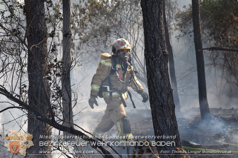 20260630_Flur- und Waldbrand zwischen Ebreichsdorf und Oberwaltersdorf durch f�nf Feuerwehren erfolgreich bek�mpft 20260630_Flur- und Waldbrand zwischen Ebreichsdorf und Oberwaltersdorf durch f�nf Feuerwehren erfolgreich bek�mpft