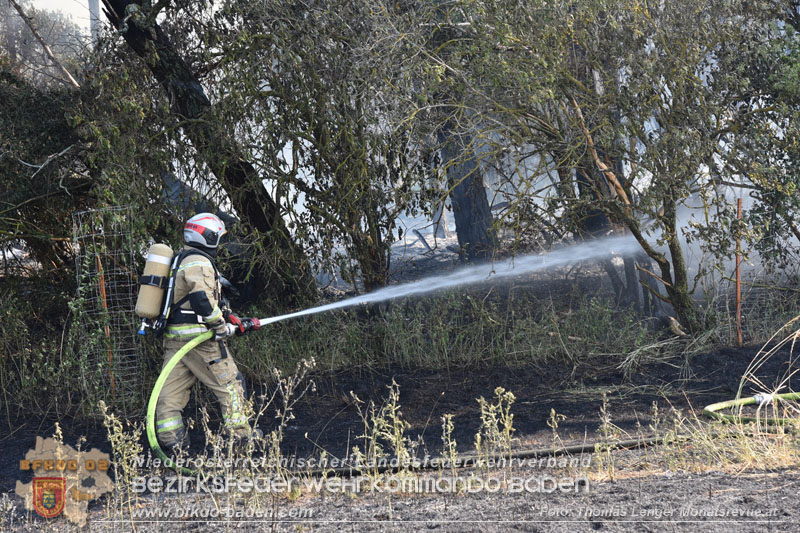 20260630_Flur- und Waldbrand zwischen Ebreichsdorf und Oberwaltersdorf durch f�nf Feuerwehren erfolgreich bek�mpft 20260630_Flur- und Waldbrand zwischen Ebreichsdorf und Oberwaltersdorf durch f�nf Feuerwehren erfolgreich bek�mpft