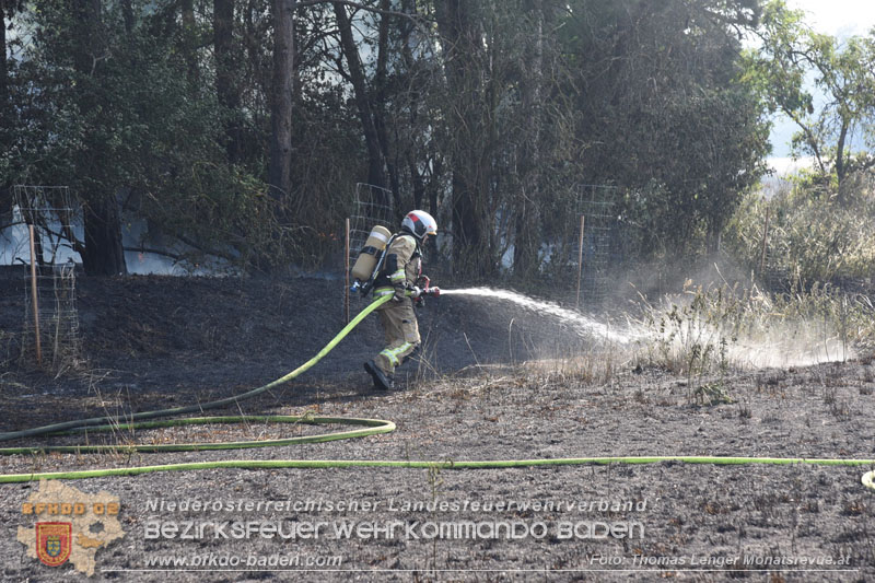 20260630_Flur- und Waldbrand zwischen Ebreichsdorf und Oberwaltersdorf durch f�nf Feuerwehren erfolgreich bek�mpft 20260630_Flur- und Waldbrand zwischen Ebreichsdorf und Oberwaltersdorf durch f�nf Feuerwehren erfolgreich bek�mpft
