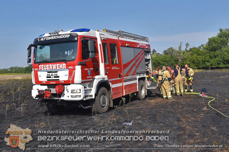 20260630_Flur- und Waldbrand zwischen Ebreichsdorf und Oberwaltersdorf durch f�nf Feuerwehren erfolgreich bek�mpft 20260630_Flur- und Waldbrand zwischen Ebreichsdorf und Oberwaltersdorf durch f�nf Feuerwehren erfolgreich bek�mpft