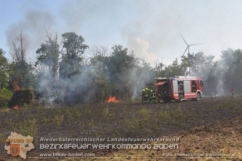 20260630_Flur- und Waldbrand zwischen Ebreichsdorf und Oberwaltersdorf durch f�nf Feuerwehren erfolgreich bek�mpft 20260630_Flur- und Waldbrand zwischen Ebreichsdorf und Oberwaltersdorf durch f�nf Feuerwehren erfolgreich bek�mpft
