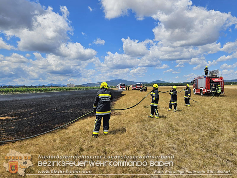 20260703_Vegetationsbrand in G�nselsdorf - Wind beg�nstigt Ausbreitung  Foto: FF G�nselsdorf