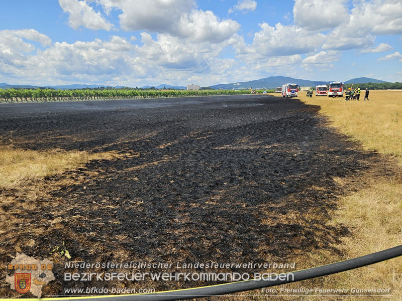 20260703_Vegetationsbrand in G�nselsdorf - Wind beg�nstigt Ausbreitung  Foto: FF G�nselsdorf