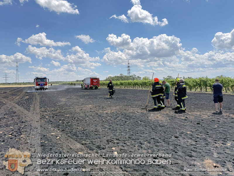 20260703_Vegetationsbrand in G�nselsdorf - Wind beg�nstigt Ausbreitung  Foto: Stefan Schneider BFKDO BADEN