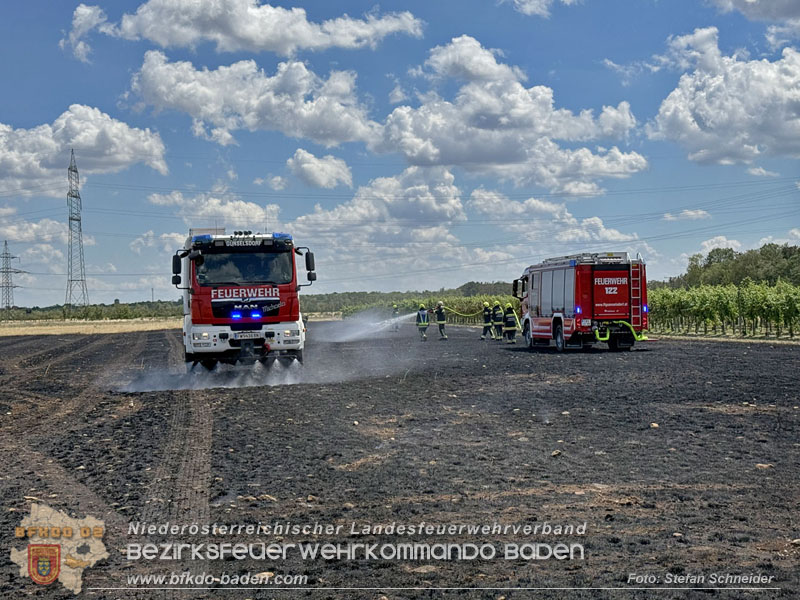 20260703_Vegetationsbrand in G�nselsdorf - Wind beg�nstigt Ausbreitung  Foto: Stefan Schneider BFKDO BADEN