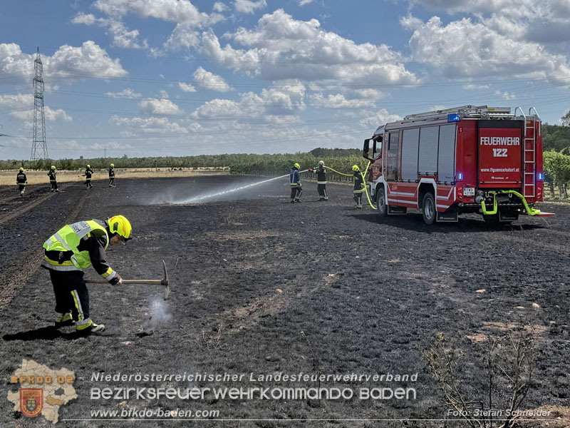 20260703_Vegetationsbrand in G�nselsdorf - Wind beg�nstigt Ausbreitung  Foto: Stefan Schneider BFKDO BADEN