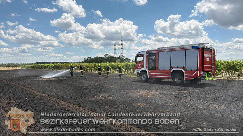 20260703_Vegetationsbrand in G�nselsdorf - Wind beg�nstigt Ausbreitung  Foto: Stefan Schneider BFKDO BADEN