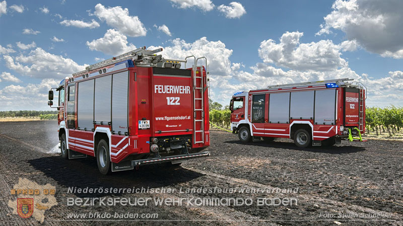 20260703_Vegetationsbrand in G�nselsdorf - Wind beg�nstigt Ausbreitung  Foto: Stefan Schneider BFKDO BADEN