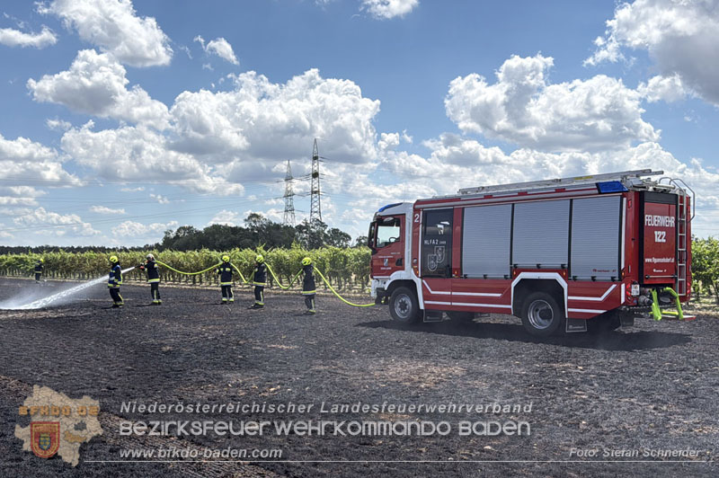 20260703_Vegetationsbrand in G�nselsdorf - Wind beg�nstigt Ausbreitung  Foto: Stefan Schneider BFKDO BADEN