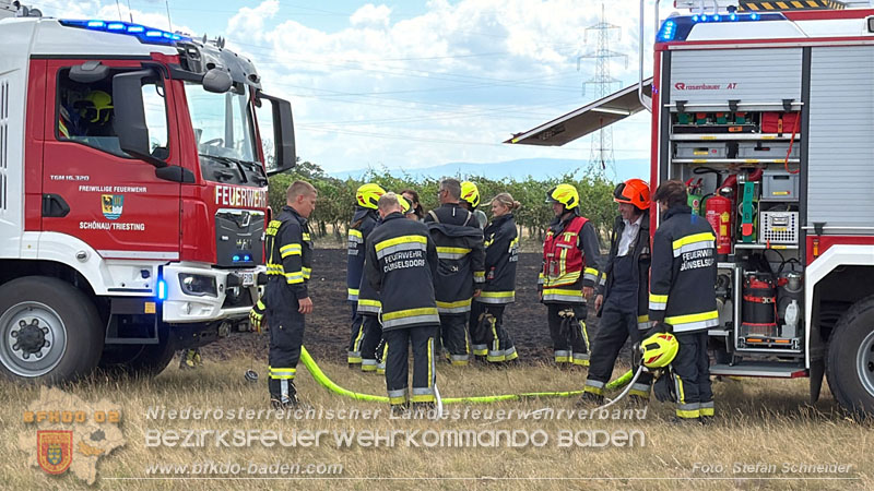 20260703_Vegetationsbrand in G�nselsdorf - Wind beg�nstigt Ausbreitung  Foto: Stefan Schneider BFKDO BADEN
