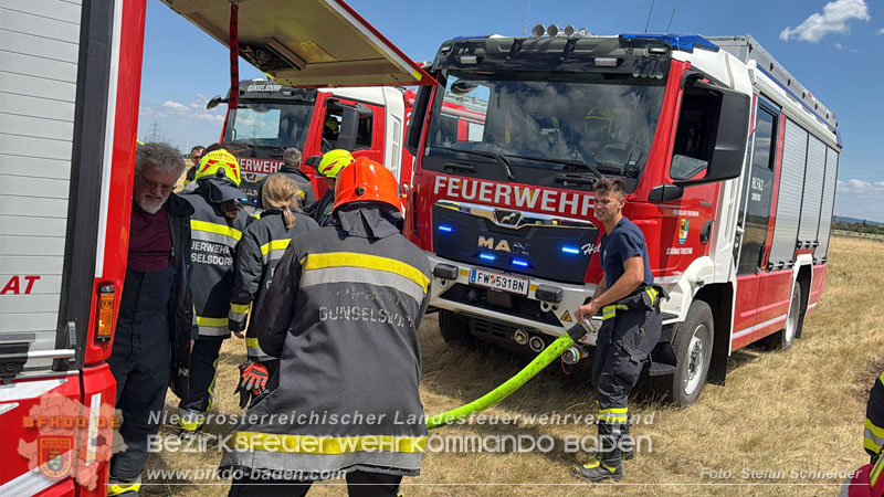 20260703_Vegetationsbrand in G�nselsdorf - Wind beg�nstigt Ausbreitung  Foto: Stefan Schneider BFKDO BADEN
