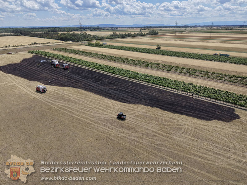 20260703_Vegetationsbrand in G�nselsdorf - Wind beg�nstigt Ausbreitung  Foto: Pressestelle BFKDO BADEN