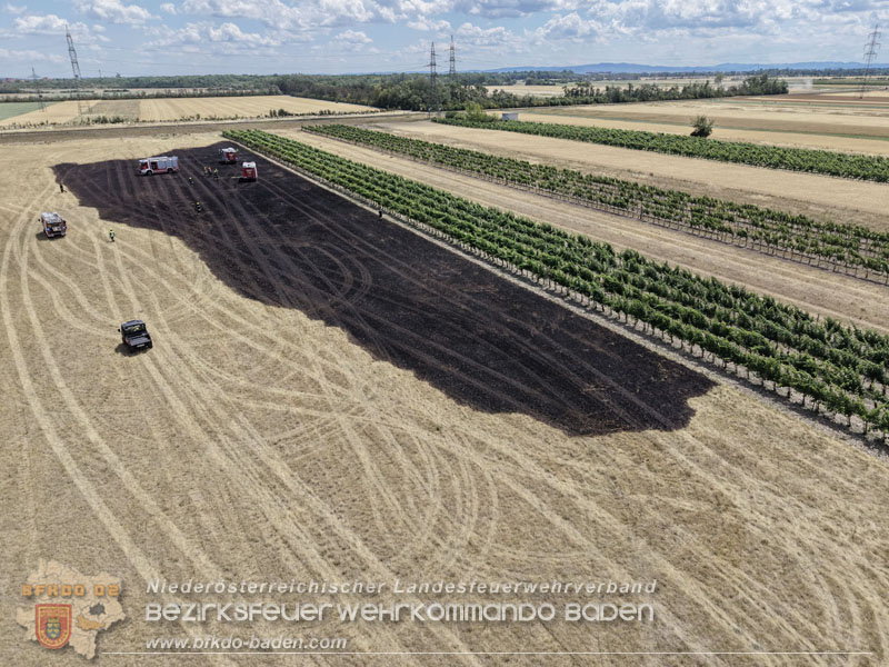 20260703_Vegetationsbrand in G�nselsdorf - Wind beg�nstigt Ausbreitung  Foto: Pressestelle BFKDO BADEN