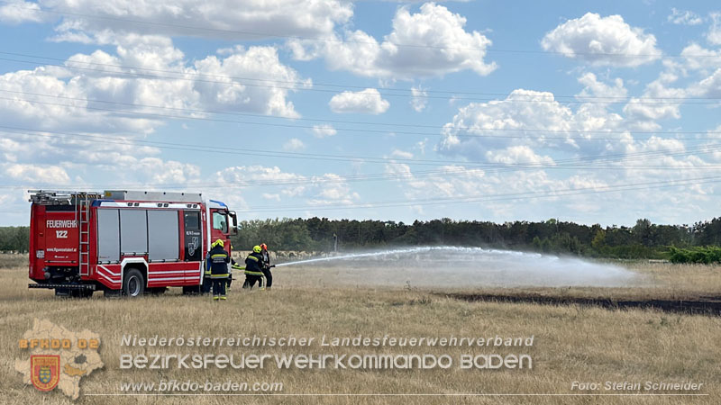 20260703_Vegetationsbrand in G�nselsdorf - Wind beg�nstigt Ausbreitung  Foto: Stefan Schneider BFKDO BADEN
