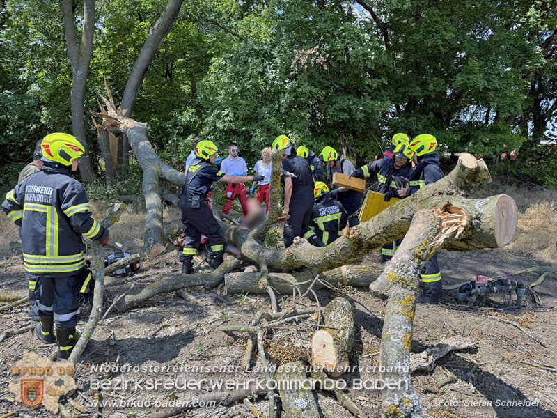 20260703_Mann unter Baum eingeklemmt in Tattendorf  Foto: Stefan Schneider BFKDO BADEN