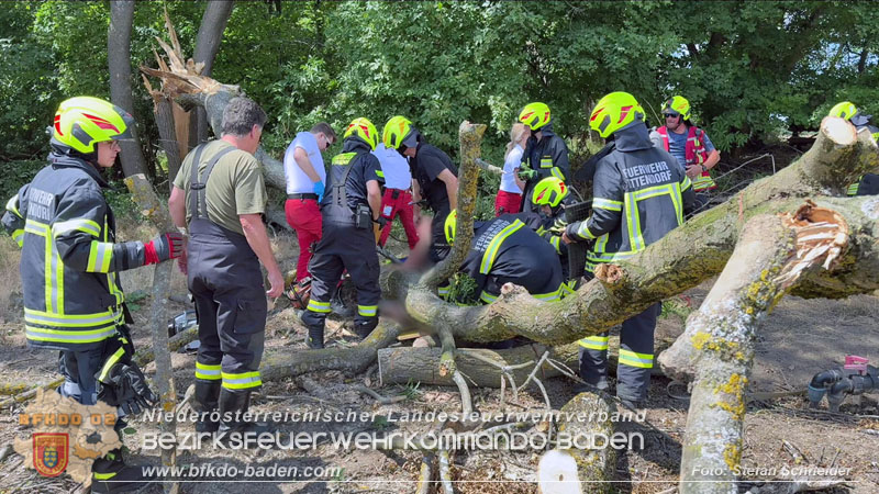 20260703_Mann unter Baum eingeklemmt in Tattendorf  Foto: Stefan Schneider BFKDO BADEN