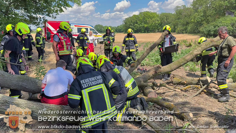 20260703_Mann unter Baum eingeklemmt in Tattendorf  Foto: Stefan Schneider BFKDO BADEN