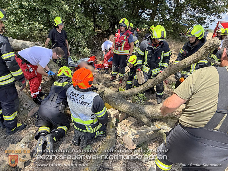 20260703_Mann unter Baum eingeklemmt in Tattendorf  Foto: Stefan Schneider BFKDO BADEN