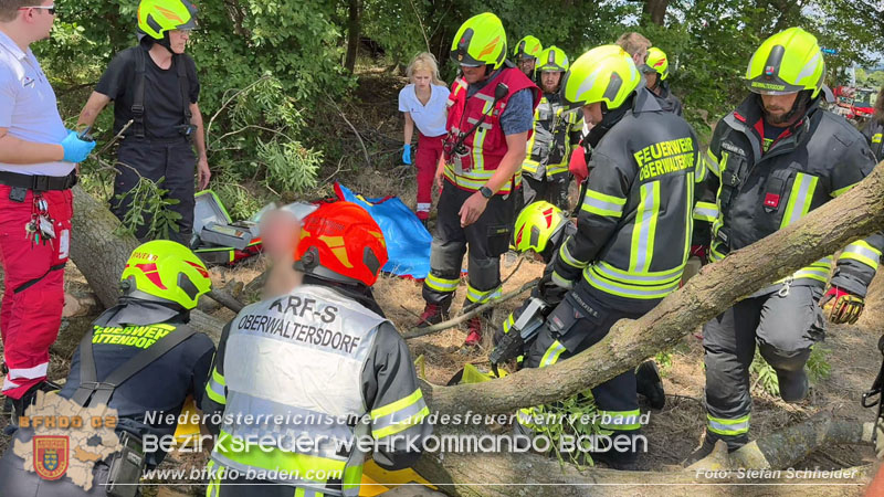 20260703_Mann unter Baum eingeklemmt in Tattendorf  Foto: Stefan Schneider BFKDO BADEN