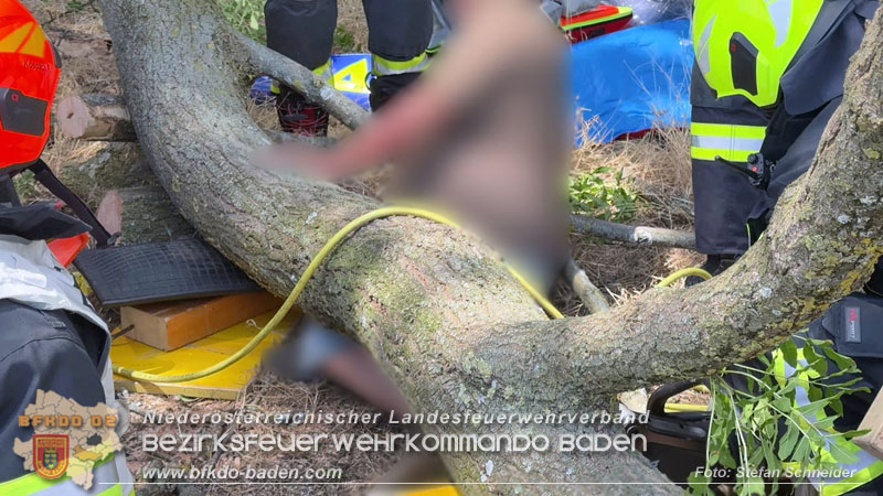 20260703_Mann unter Baum eingeklemmt in Tattendorf  Foto: Stefan Schneider BFKDO BADEN