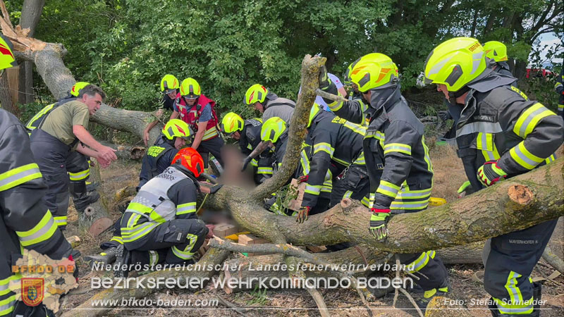 20260703_Mann unter Baum eingeklemmt in Tattendorf  Foto: Stefan Schneider BFKDO BADEN