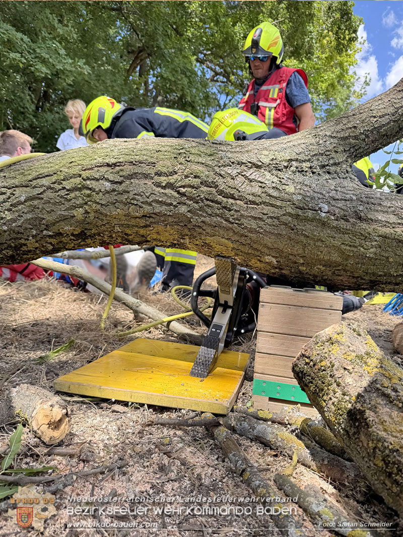 20260703_Mann unter Baum eingeklemmt in Tattendorf  Foto: Stefan Schneider BFKDO BADEN