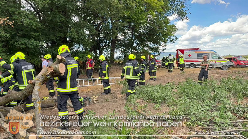 20260703_Mann unter Baum eingeklemmt in Tattendorf  Foto: Stefan Schneider BFKDO BADEN