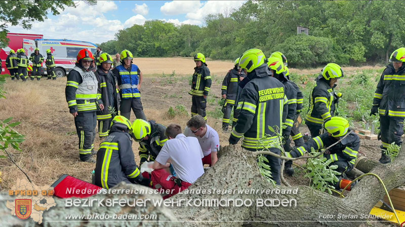 20260703_Mann unter Baum eingeklemmt in Tattendorf  Foto: Stefan Schneider BFKDO BADEN