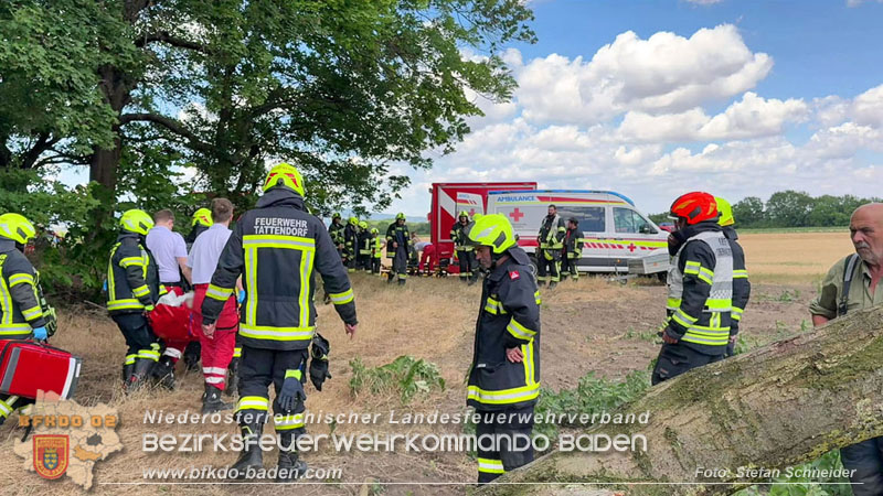 20260703_Mann unter Baum eingeklemmt in Tattendorf  Foto: Stefan Schneider BFKDO BADEN