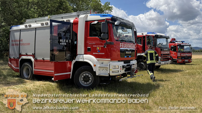 20260703_Mann unter Baum eingeklemmt in Tattendorf  Foto: Stefan Schneider BFKDO BADEN