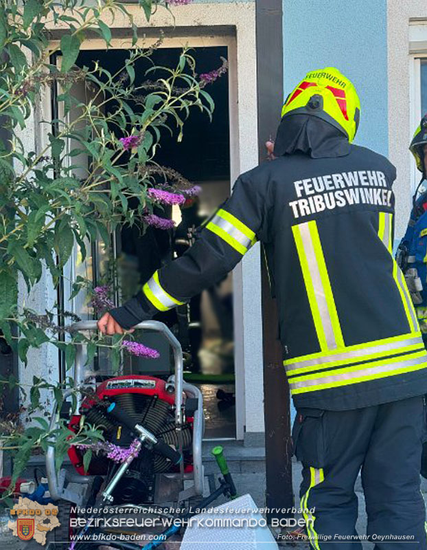 20260703_Feuerwehr rettet Tiere bei Geb�udebrand in Tribuswinkel  Foto: FF Oeynhausen