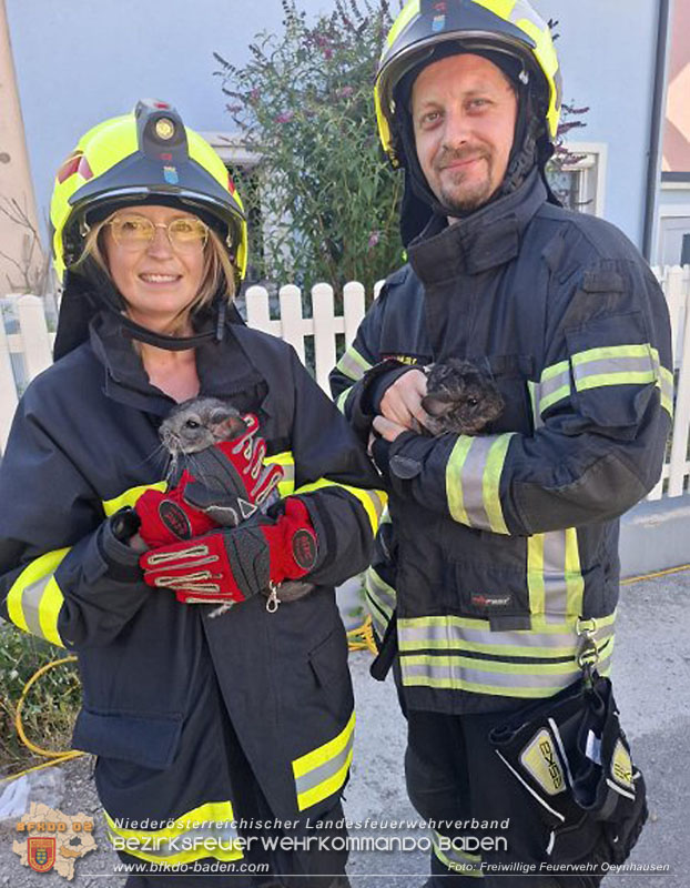 20260703_Feuerwehr rettet Tiere bei Geb�udebrand in Tribuswinkel  Foto: FF Oeynhausen