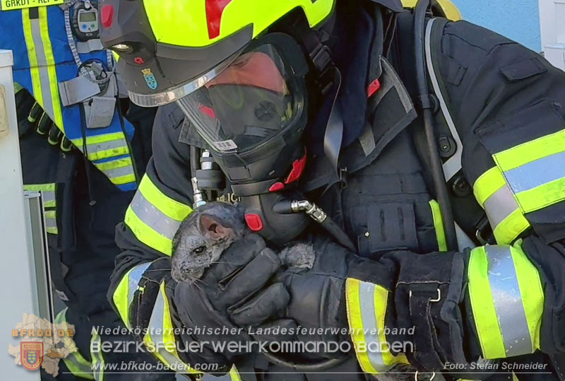 20260703_Feuerwehr rettet Tiere bei Geb�udebrand in Tribuswinkel  Foto: Stefan Schneider BFKDO BADEN