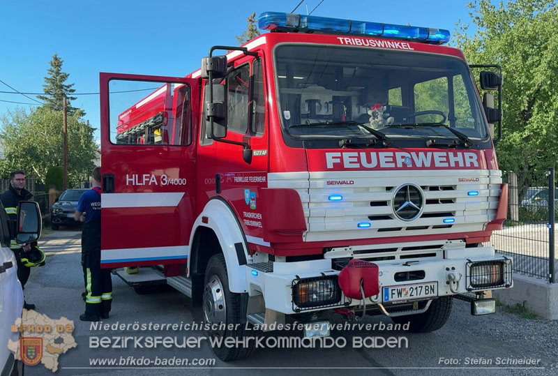 20260703_Feuerwehr rettet Tiere bei Geb�udebrand in Tribuswinkel  Foto: Stefan Schneider BFKDO BADEN