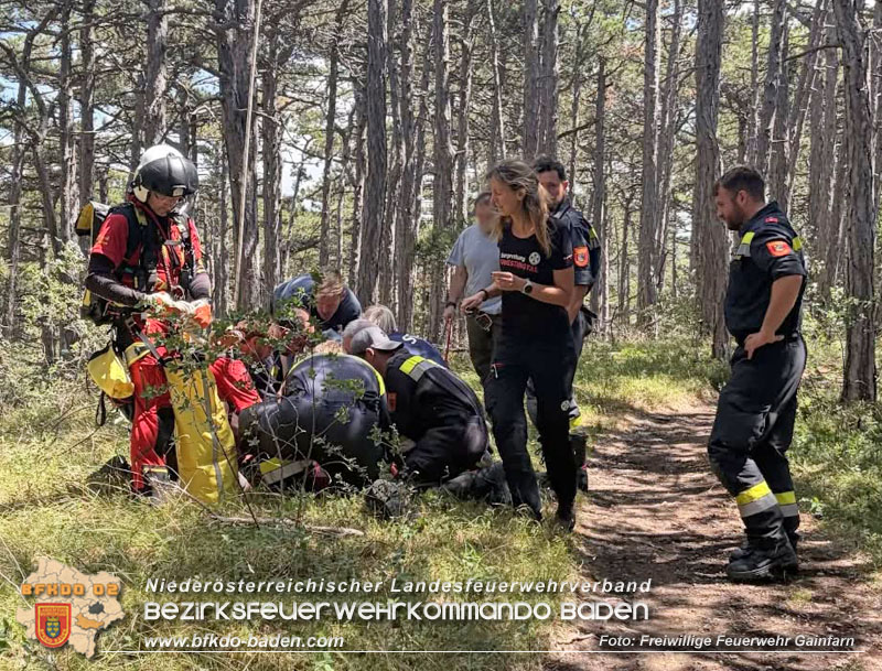 20260703_Wanderin bei Jubil�umskreuz gerettet - Unterst�tzung Rettungsdienst  Foto: (C) FF Gainfarn