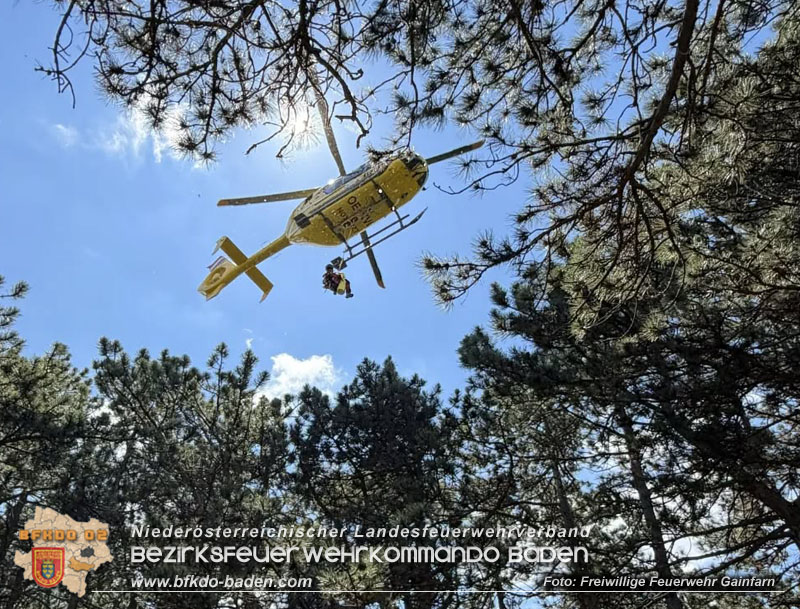 20260703_Wanderin bei Jubil�umskreuz gerettet - Unterst�tzung Rettungsdienst  Foto: (C) FF Gainfarn