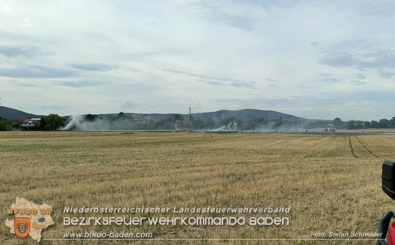 20260707_Verdacht auf Brandstiftung bei Vegetationsbrand in Kottingbrunn  Foto: Stefan Schneider BFKDO BADEN