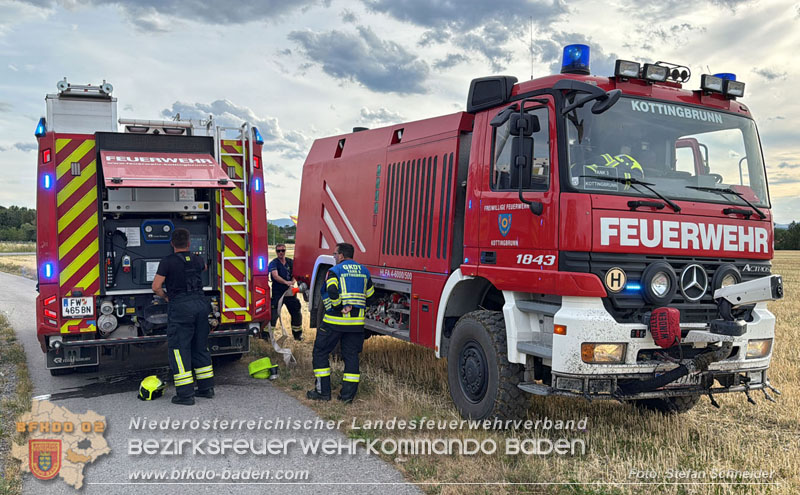 20260707_Verdacht auf Brandstiftung bei Vegetationsbrand in Kottingbrunn  Foto: Stefan Schneider BFKDO BADEN