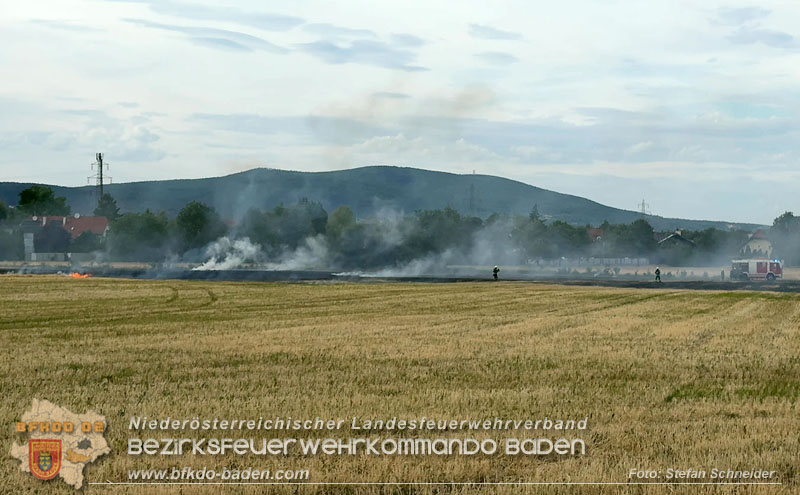 20260707_Verdacht auf Brandstiftung bei Vegetationsbrand in Kottingbrunn  Foto: Stefan Schneider BFKDO BADEN