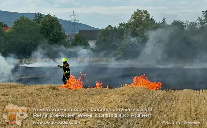 20260707_Verdacht auf Brandstiftung bei Vegetationsbrand in Kottingbrunn  Foto: Stefan Schneider BFKDO BADEN