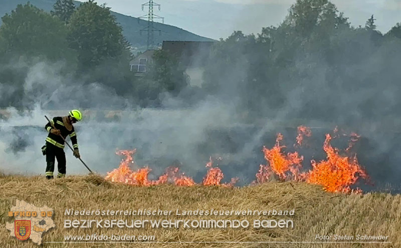 20260707_Verdacht auf Brandstiftung bei Vegetationsbrand in Kottingbrunn  Foto: Stefan Schneider BFKDO BADEN