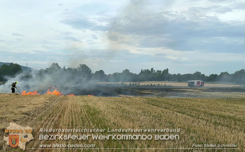 20260707_Verdacht auf Brandstiftung bei Vegetationsbrand in Kottingbrunn  Foto: Stefan Schneider BFKDO BADEN