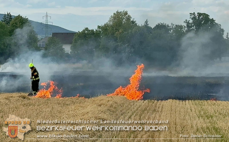 20260707_Verdacht auf Brandstiftung bei Vegetationsbrand in Kottingbrunn  Foto: Stefan Schneider BFKDO BADEN