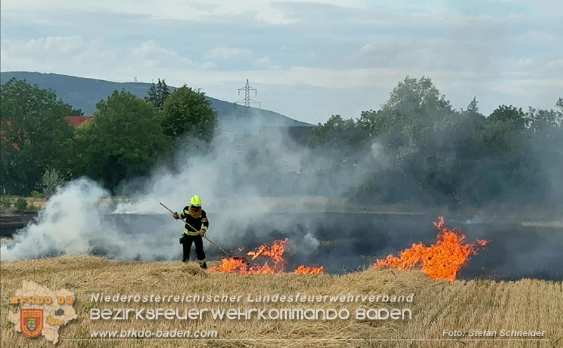 20260707_Verdacht auf Brandstiftung bei Vegetationsbrand in Kottingbrunn  Foto: Stefan Schneider BFKDO BADEN