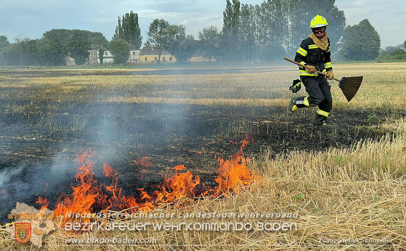 20260707_Verdacht auf Brandstiftung bei Vegetationsbrand in Kottingbrunn  Foto: Stefan Schneider BFKDO BADEN