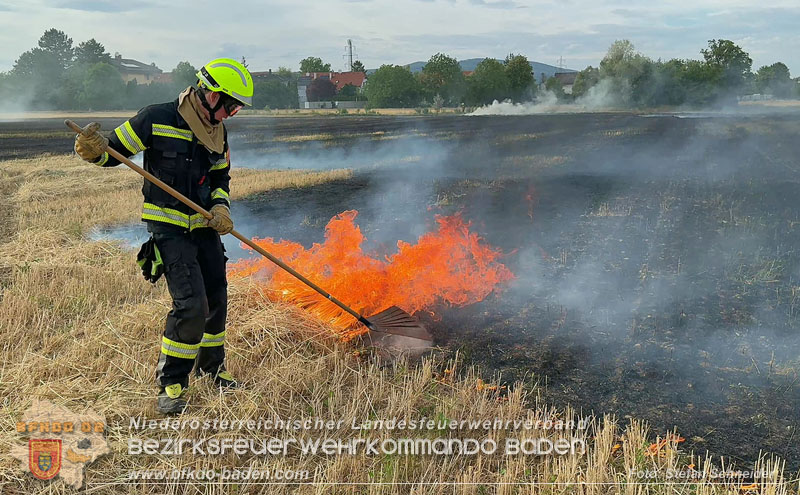20260707_Verdacht auf Brandstiftung bei Vegetationsbrand in Kottingbrunn  Foto: Stefan Schneider BFKDO BADEN